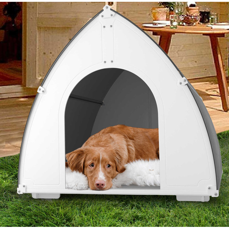 Igloo store dog crate